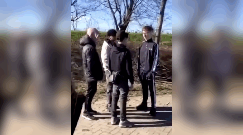 pestkoppen en jongen met rood haar