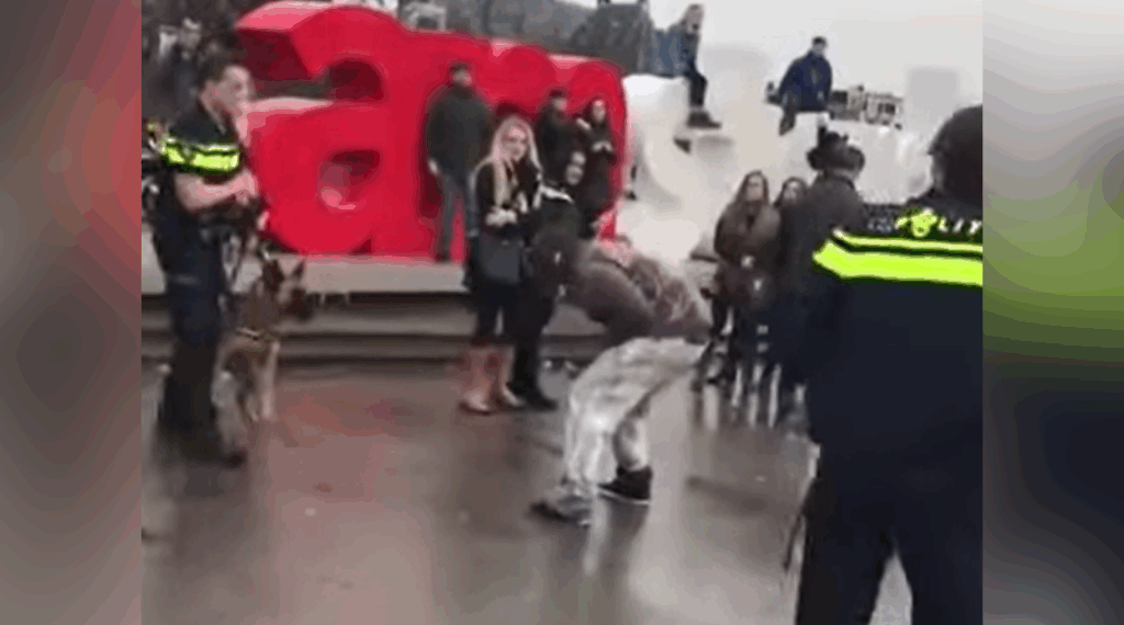 politiehond uitdagen