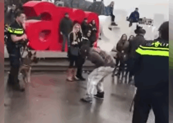 politiehond uitdagen