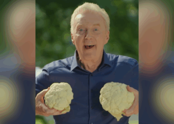 André van Duin salaris