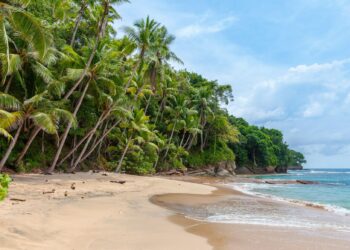 deelnemer expeditie Robinson