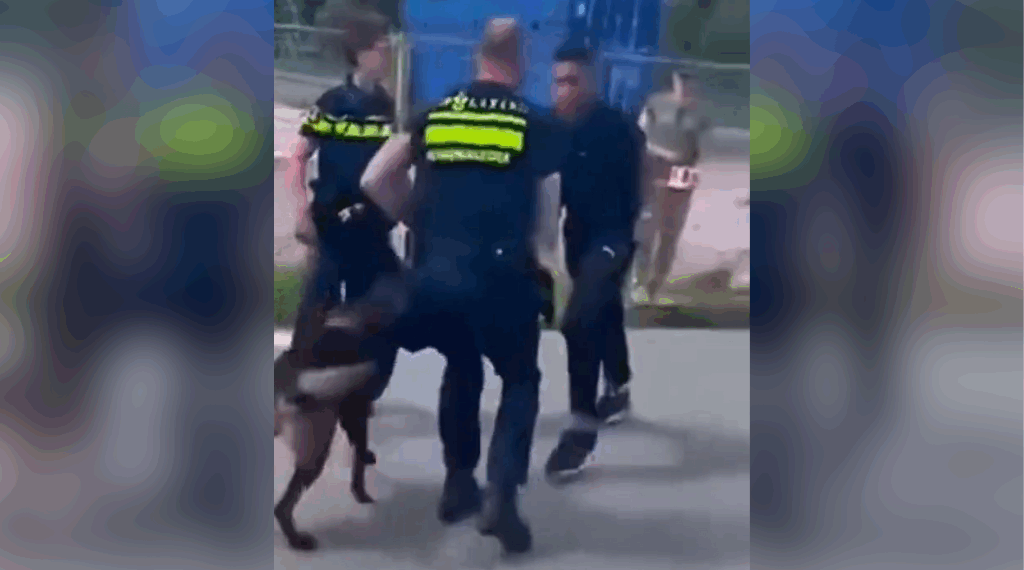 politie optredens