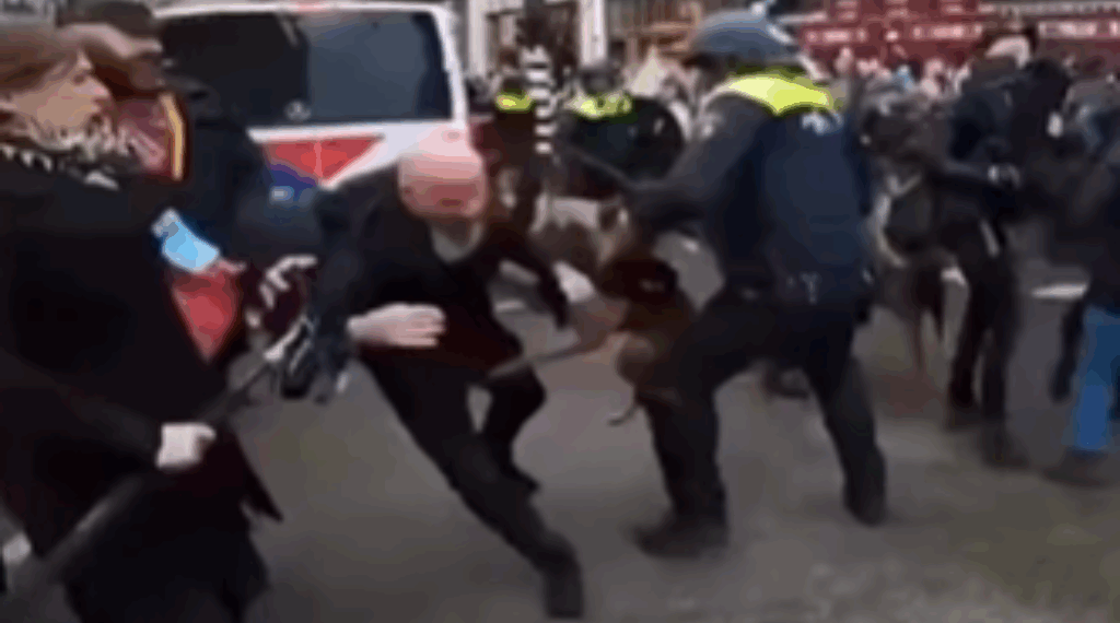 politiehondincident demonstratie