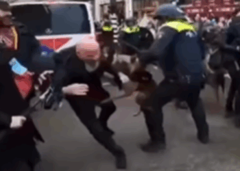 politiehondincident demonstratie