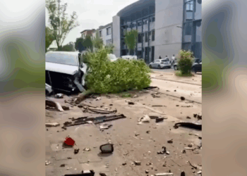 straatrace in Antwerpen