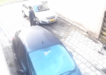 burgerwacht ter apel