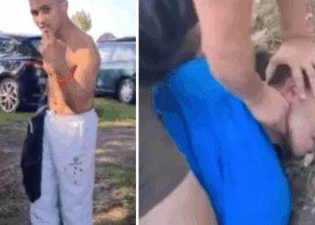 burgerarrest camping