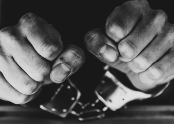 criminele asielzoekers