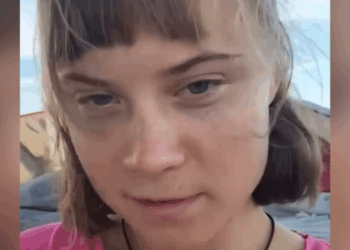 Greta Thunberg arrestatie