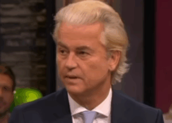 PVV zetelgroei