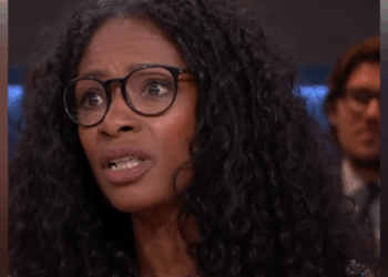 Sylvana Simons uitspraken