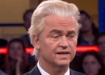 Wilders stemgesjoemel