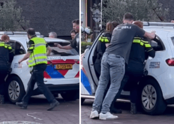 Maurice van der Wardt